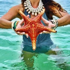 Twine + Twig Cowrie Collar Necklace | Edition 1