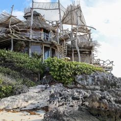 Twine + Twig Mid Shell Pendant Necklace | Cowrie Cowrie Collection