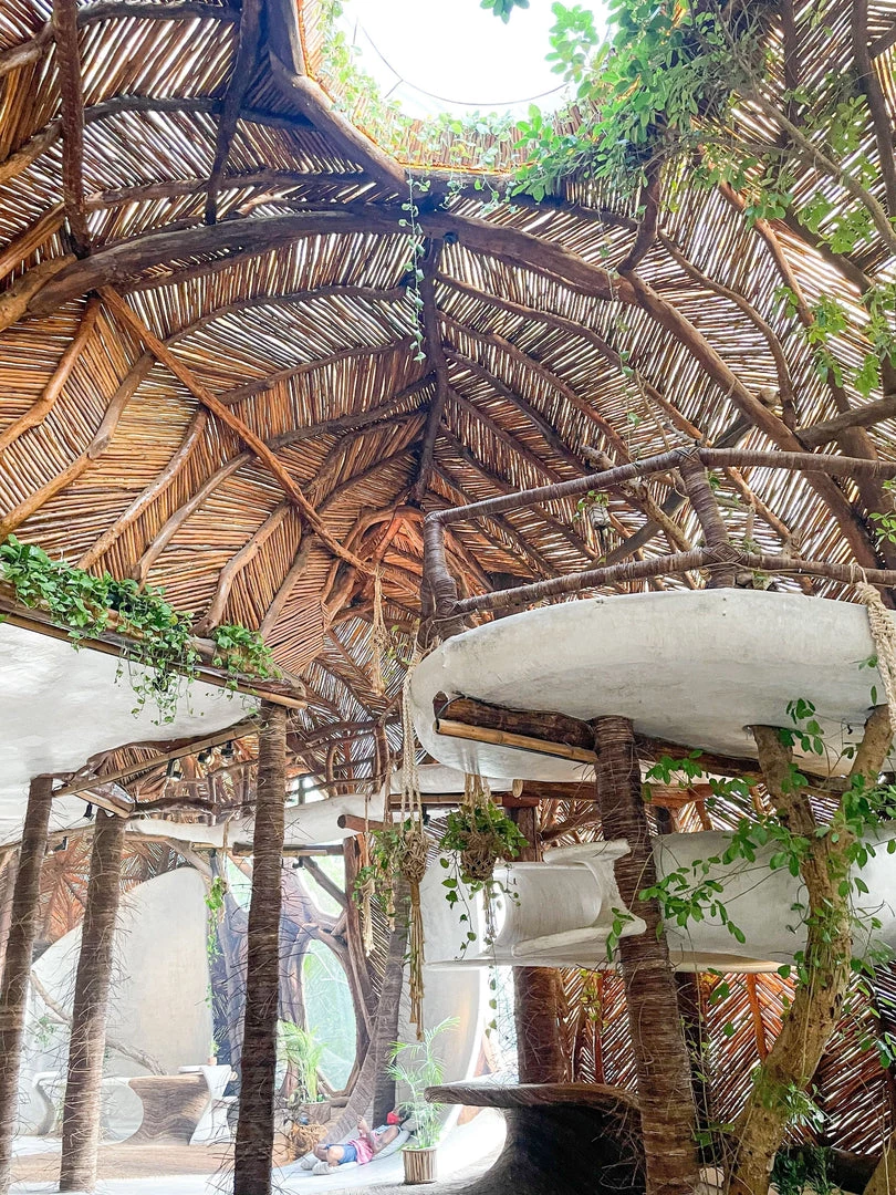 Twine + Twig Cowrie Collection Trio Stack Bracelet Set | Cowrie 4 Twine + Twig Cowrie Collection Trio Stack Bracelet Set | Cowrie