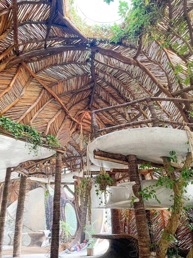 Twine + Twig Cowrie Layer Necklace Set | Tribal Cowrie Collection 7 Twine + Twig Cowrie Layer Necklace Set | Tribal Cowrie Collection