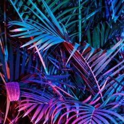 Twine + Twig Teen Collection Tribal Classic Necklace | Electric Black