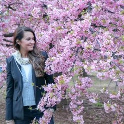 Twine + Twig Cowrie Collar Necklace | Edition 3 Cowrie Collection 13 Twine + Twig Cowrie Collar Necklace | Edition 3 Cowrie Collection